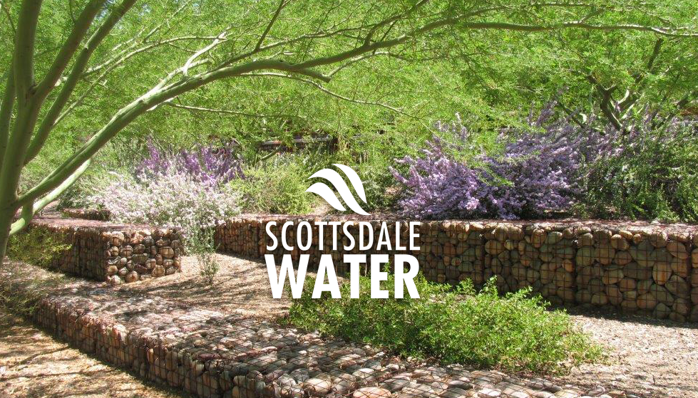 Efficient Irrigation Techniques