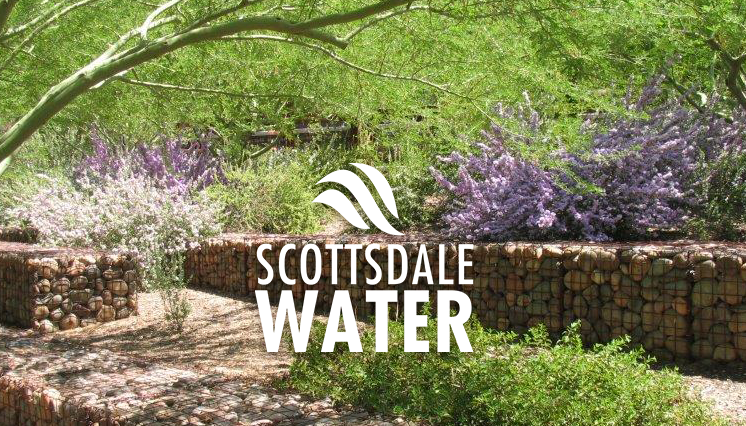 Government 202: Behind the Scenes with Scottsdale Water